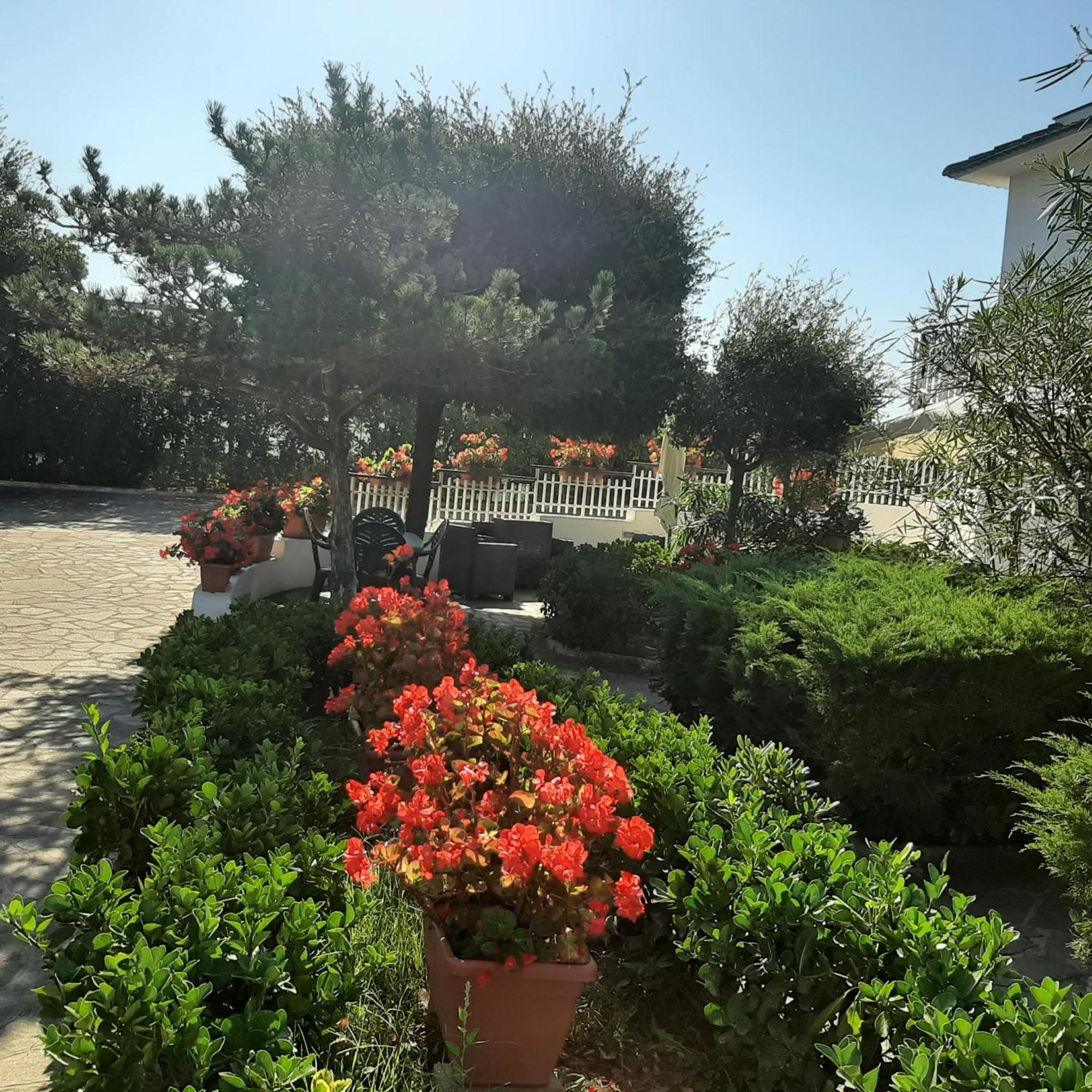 Appartamento In Villa Valentini, Fronte Mare, Giardino E Parcheggio Privato, Wifi, Dotato Di Tutti I Confort, Nel Golfo Di Gaeta Minturno Kültér fotó