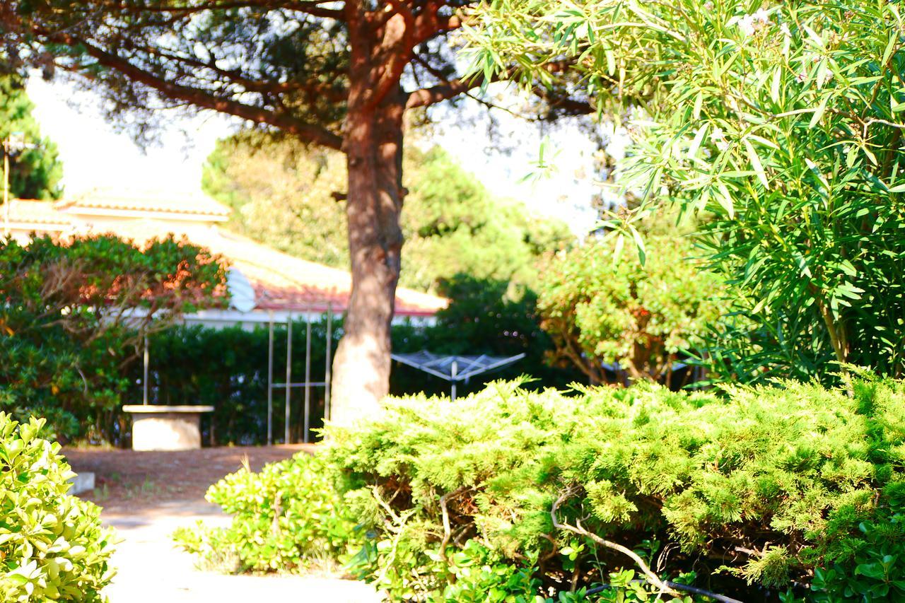 Appartamento In Villa Valentini, Fronte Mare, Giardino E Parcheggio Privato, Wifi, Dotato Di Tutti I Confort, Nel Golfo Di Gaeta Minturno Kültér fotó